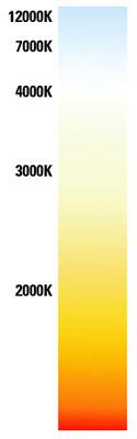 LED Neon Warm White Color Chart